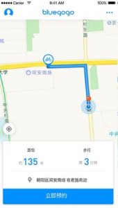 带小狗自驾新疆